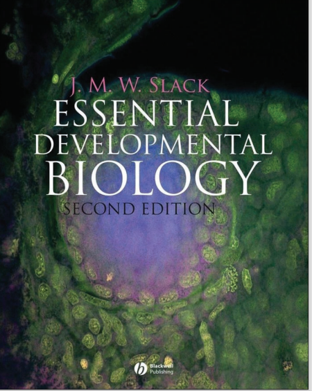 esential developmntal biology p107