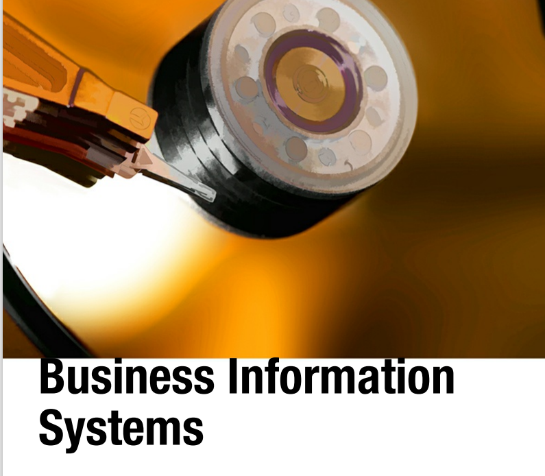 Business Information systems