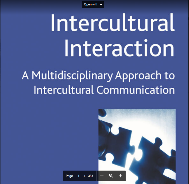 intercultural interaction
